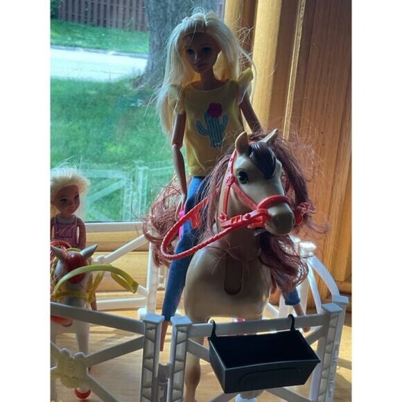 Barbie Hugs N Horses Playset With Dolls Pony Accessories & Stable Set Mattel - Picture 3 of 8